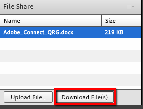 File Share Pod with Download Files higlighted