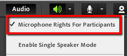 The microphone menu expanded with "Microphone Rights for Participants" highlighted