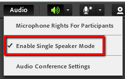 The Audio Menu expanded with "Enable Single Speaker Mode" highlighted