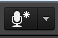 The microphone icon, with a star next to it