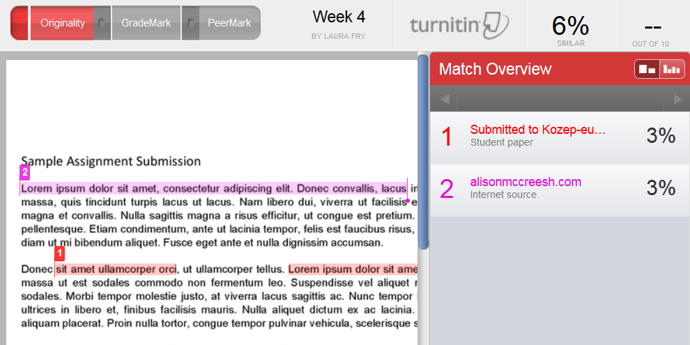 TurnItIn Originality Report with a sample submission